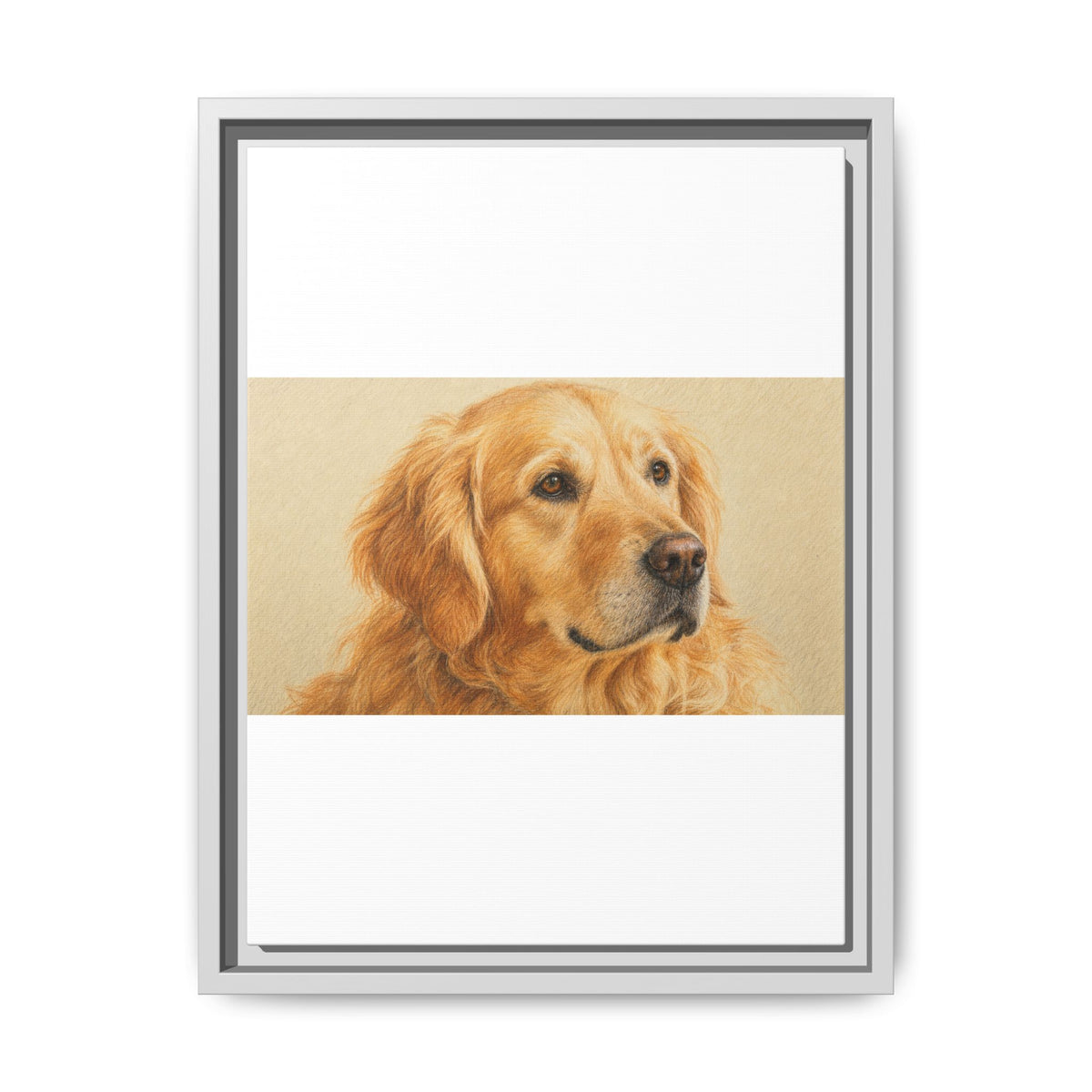 Custom Pet Portrait — Colored Pencil Sketch — Framed Canvas