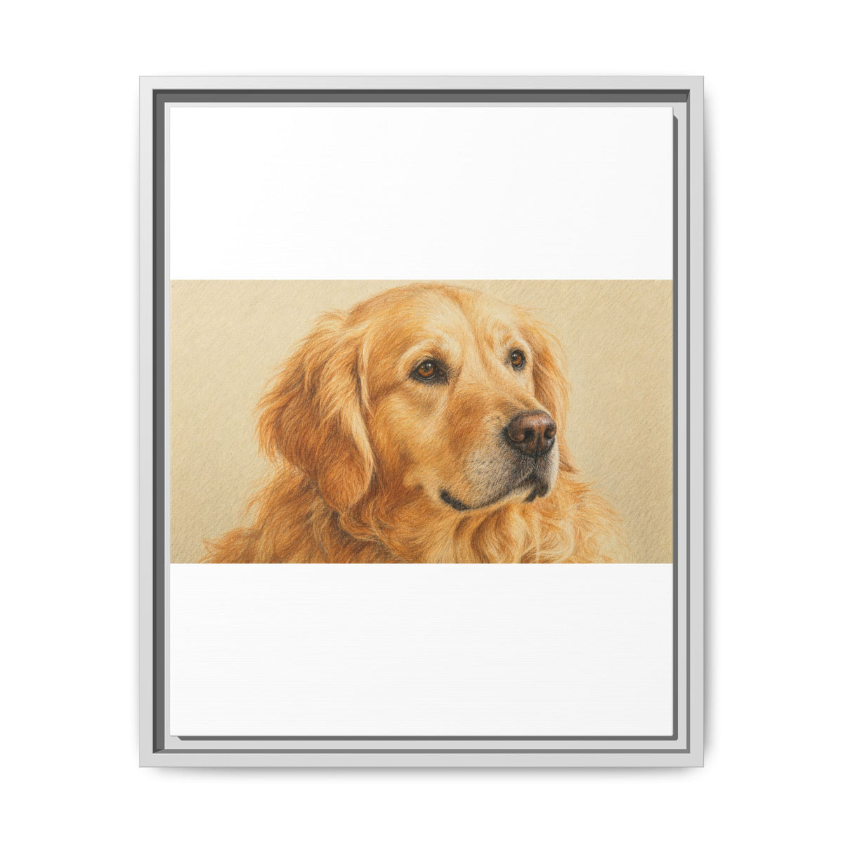 Custom Pet Portrait — Colored Pencil Sketch — Framed Canvas